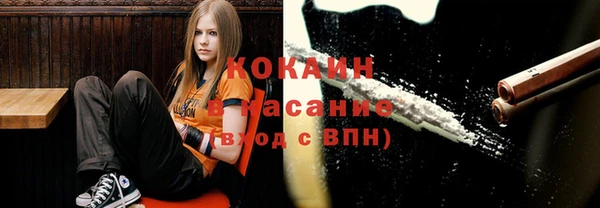 сатива Арсеньев
